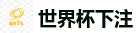 2026 FIFA 世界杯(下注)官方中文站